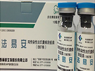 活疫苗_法易安
